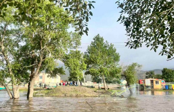 Биокомбинатын эрсдэлтэй бүсээс иргэдийг нүүлгэн шилжүүлж байна