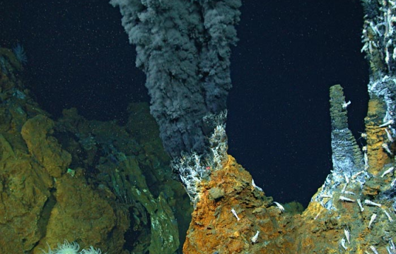 Номхон далайн ёроолоос ховор элементийн нөөц илрүүлжээ