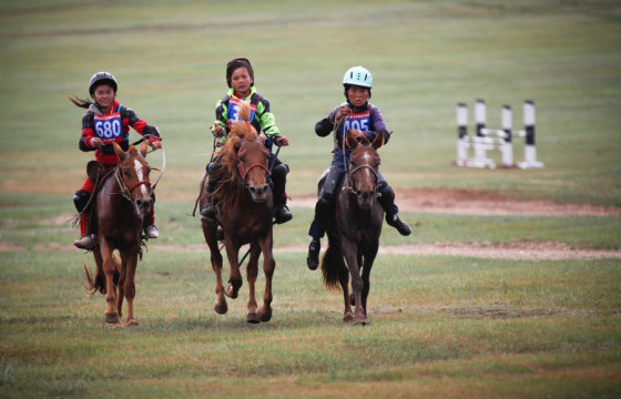 Унаач хүүхдийн эрхийг хамгаалах чиглэлээр хамтран ажиллана