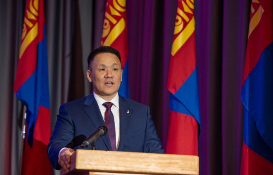 Н.НОМТОЙБАЯР: Улс орныхоо төлөө бусадтай үл ойлголцсон асуудалд цэг тавина