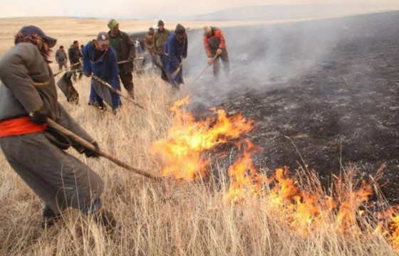 Ой, хээрийн гал түймэр унтраах ажиллагаанд нийт 2390 хүн ажиллажээ