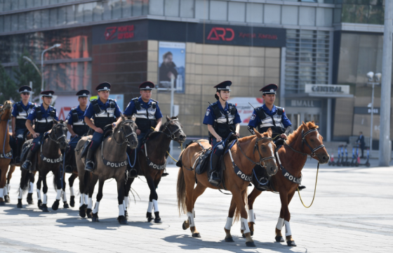 Морьт эргүүл үүрэг гүйцэтгэж байна