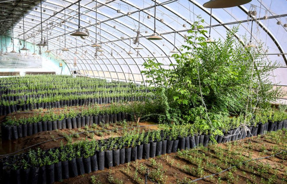 “ТЭРБУМ МОД”  ХӨДӨЛГӨӨНИЙ ХҮРЭЭНД ХИЙСЭН АЖЛЫН ЯВЦТАЙ ТАНИЛЦЛАА