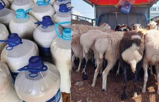 ҮНЭ ХАНШ: ХОНЬ 220-380, АЙРАГ 7-10 МЯНГАН ТӨГРӨГИЙН ҮНЭТЭЙ БАЙНА