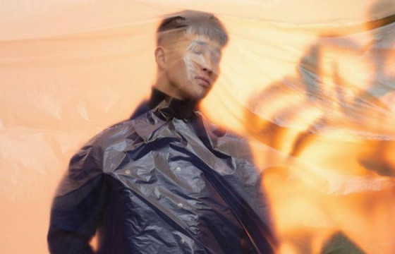 Davaidasha-гийн талаарх сонирхолтой 20 баримт