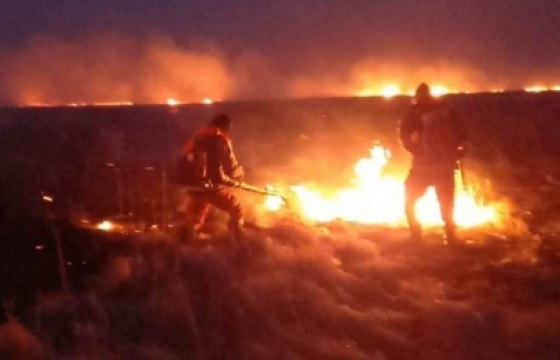 Улсын хэмжээнд 90 гаруй удаагийн ой, хээрийн түймэр гарчээ