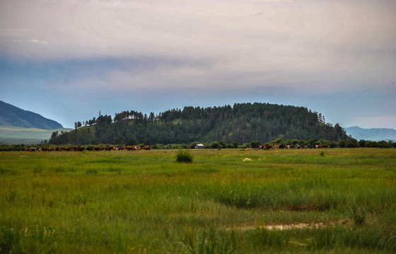 Б.СЕРИКБОЛ: Шаамар сумын Бүүрэг толгойг зам засах зөвшөөрөлтэйгөөр БНХАУ-ын компани ухсан