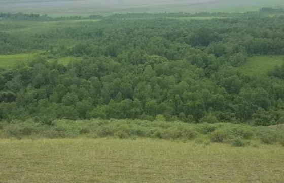 Сэлэнгэ аймгийн Хүдэр суманд гарсан ой хээрийн түймрийг унтраажээ