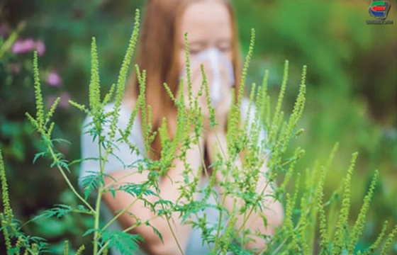 ХОТЫН ӨВЧИН БУЮУ УРГАМЛЫН ХАРШИЛ