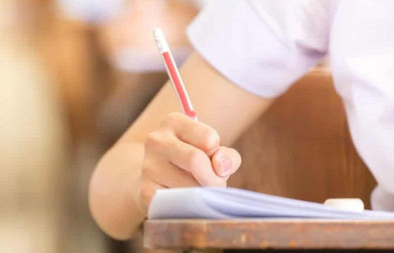 Бага ангийн сурагчдыг харандаагаар бичүүлэхийг зөвлөж байна