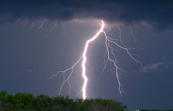 Архангай аймагт 87 бог мал аянгад цохиулж хорогджээ