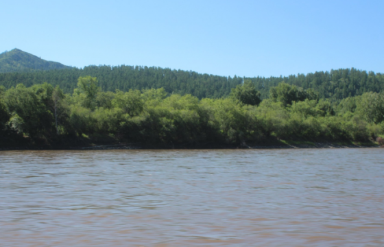 Сэлэнгэ мөрөнд живсэн 24 настай залуугийн цогцсыг олжээ