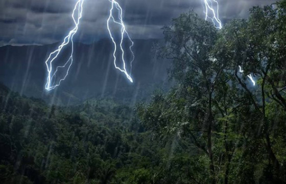 Ойрын өдрүүдэд ихэнх нутгаар аадар бороо орно