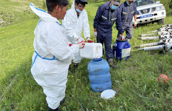 ОЙН ХӨНӨӨЛТ ШАВЖТАЙ ТЭМЦЭХ АЖИЛ 70 ХУВИЙН ГҮЙЦЭТГЭЛТЭЙ ЯВАГДАЖ БАЙНА