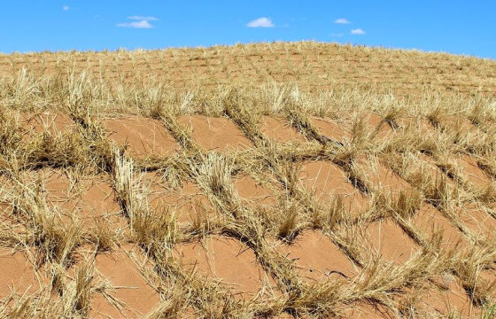 ЦӨЛЖИЛТ НЬ ЗӨВХӨН НЭГ УЛС ОРНЫ АСУУДАЛ БИШ