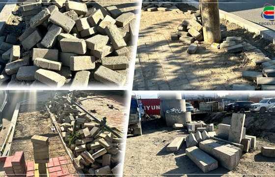  ТЭНГЭРТ ХАДСАН ҮНЭТЭЙ ГАНТИГ БРОДЮРЫН ШАХААНЫ АРД НУУГДСАН ҮНЭНИЙ МӨРӨӨР