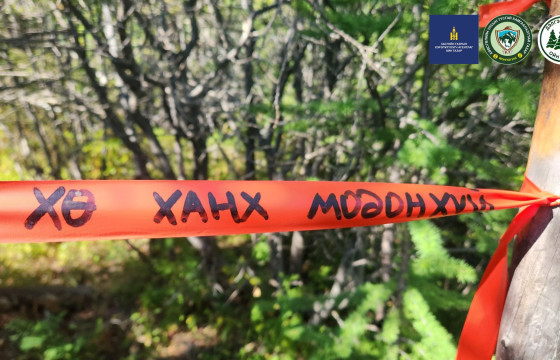 ХӨВСГӨЛ НУУРЫН МОДОН ХҮЙ АРЛЫН ОЙН САНД ОЙ ЗОХИОН БАЙГУУЛАЛТ, ОЙН ТООЛЛОГЫН ХЭМЖИЛТ ХИЙВ