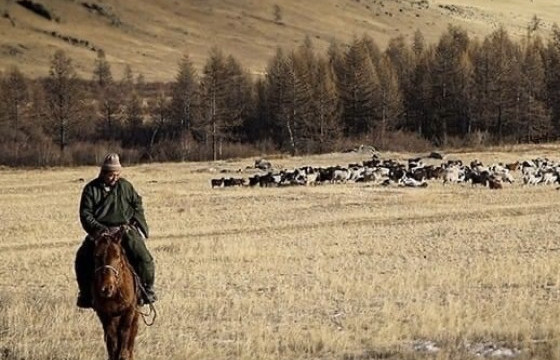 НАМРААР Л ТЭД ТОРОЙГООД ҮЛДДЭГ ДЭЭ