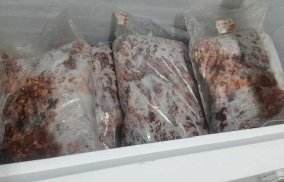 Боловсролын байгууллагын хоол үйлдвэрлэл, үйлчилгээнд хяналт, шалгалт хийж байна