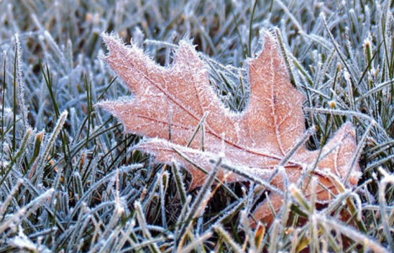 ЦАГ АГААР: Дорнод-Дарьгангын тал нутгаар хөрсөн дээр цочир хүйтэрнэ
