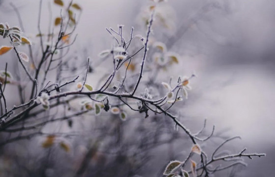 СЭРЭМЖЛҮҮЛЭГ: Нойтон цас орж, ихэнх нутгаар сэрүүсэхийг анхааруулж байна