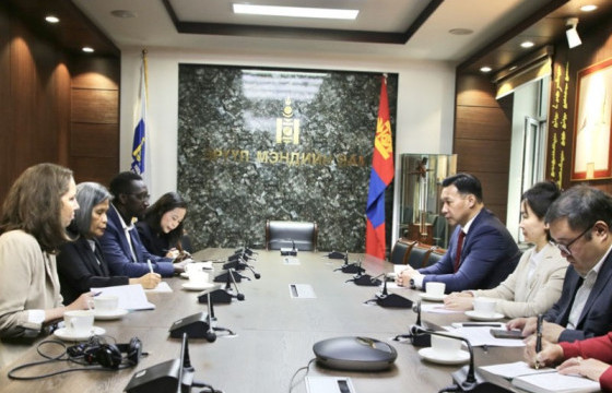 “Хүүхдийн хорт хавдрын эмийн хангамжийг сайжруулах дэлхийн платформ” санаачилгыг хэрэгжүүлэх чиглэлээр зөвлөх баг ажиллаж байна