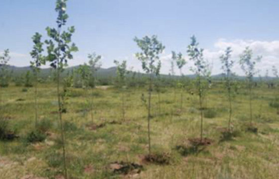 БҮХ НИЙТЭЭР МОД ТАРИХ ӨДӨР ТОХИОЖ БАЙНА