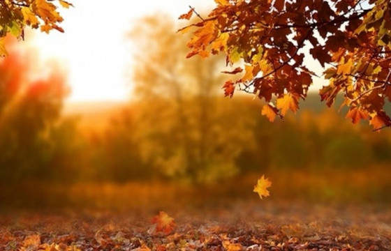 АМРАЛТЫН ӨДРҮҮДИЙН ЦАГ АГААР