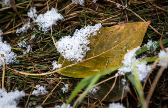 ЦАГ АГААР: Тариалангийн бүс нутгаар цас орж, хүйтрэхийг анхааруулж байна