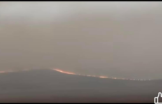 Баяндун сумын Засаг даргын орлогч Б.Батжав: Хээрийн түймэрт таван айлын гэр, хашаа, байшин шатсан