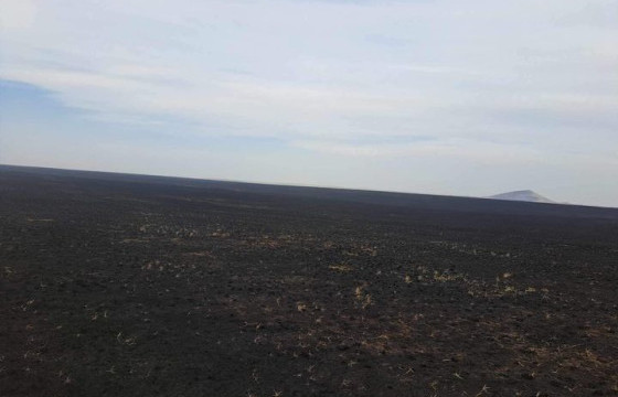 ХЭЭРИЙН ТҮЙМРҮҮДИЙГ БҮРЭН УНТРААЛАА