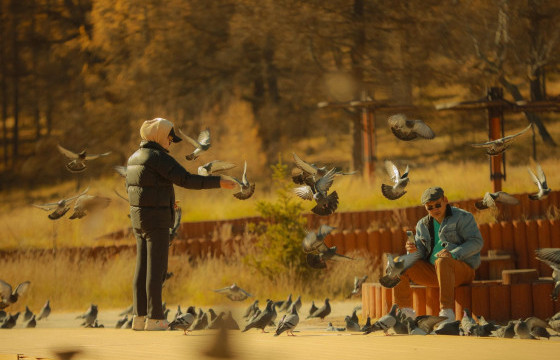 ЦАГ АГААР: Улаанбаатарт 5 хэм дулаан