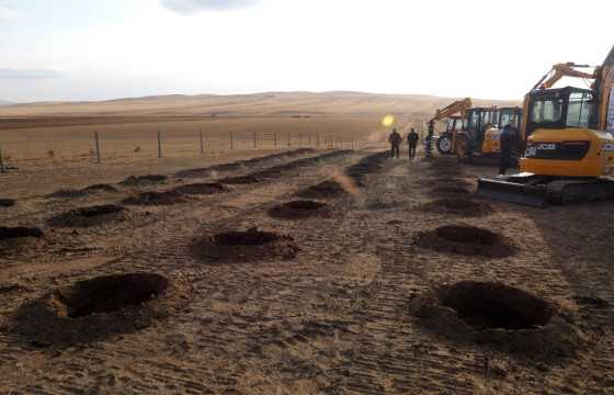 Тариалангийн талбайг хамгаалсан 41 км ойн зурвас байгуулжээ