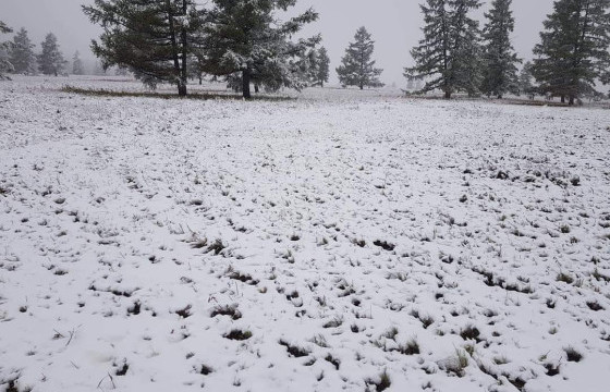Хэнтий аймгийн Биндэр суманд 13-14 см цасан бүрхүүл тогтжээ
