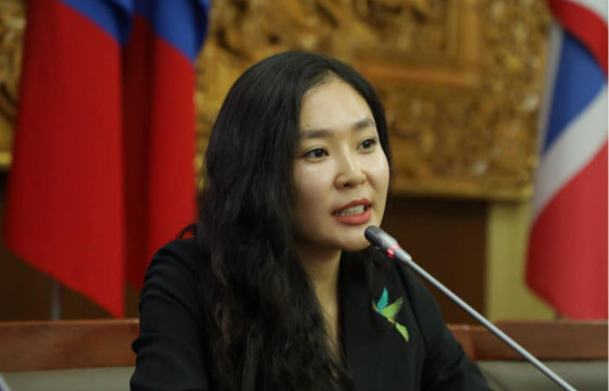 С.ЦЭНГҮҮН:  УИХ-ын гишүүдийн 80 хувь нь эрчим хүчний реформ хийхийг дэмжсэн 