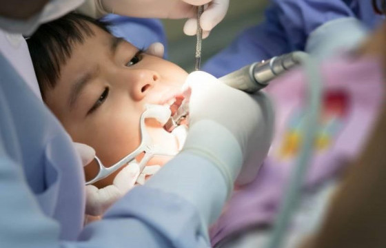 Эрт илрүүлэгт хамрагдсан нэгдүгээр ангийн сурагчдын 83 хувь нь шүдний өвчлөлтэй байна