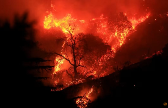 Калифорнийн түймэр 20 мянган акр газарт тархжээ