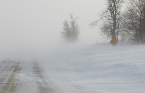Цасан шуурга шуурч, ихэнх нутгаар хүйтэрнэ