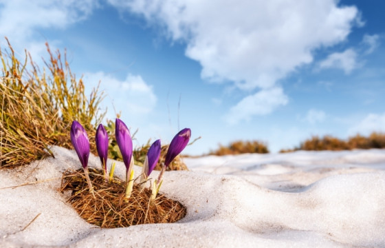 ЦАГ АГААР: Ихэнх нутгаар дулаарна