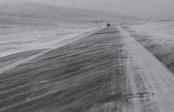 Цасан шуурга шуурч, ихэнх нутгаар хүйтэрнэ