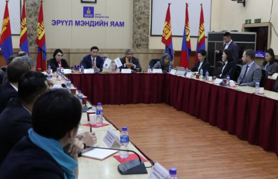 Олон улсын донор байгууллагууд эрүүл мэндийн салбарт дэмжлэг үзүүлнэ