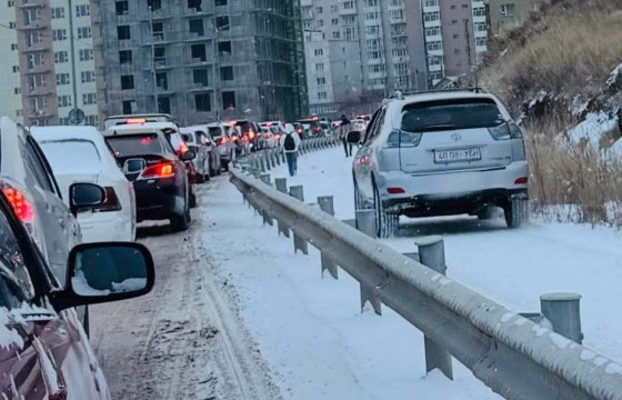 Явган хүний замаар зорчсон автомашины жолооч: Түгжрээд хоёр цаг болчихоор нь яарсандаа явган хүний замаар явчихсан