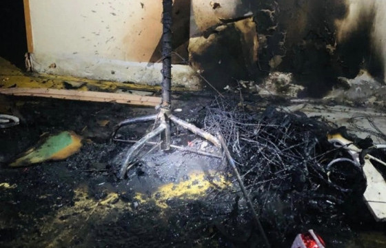 Гацуур модны гэрлэн чимэглэлийн галын аюулгүй байдлыг хангахыг зөвлөж байна