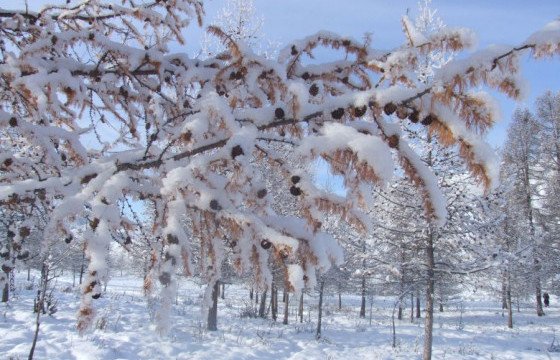 ЦАГ АГААР: Улаанбаатарт өдөртөө -11 хэм хүйтэн