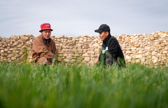 ГОВИЙН БҮСЭД МАЛЫН ТЭЖЭЭЛИЙН УРГАМАЛ ТАРИАЛАЛТ