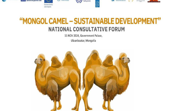 “МОНГОЛ  ТЭМЭЭ –ТОГТВОРТОЙ ХӨГЖИЛ” ҮНДЭСНИЙ ЗӨВЛӨЛДӨХ ФОРУМ АМЖИЛТТАЙ БОЛЛОО