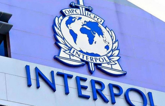 Интерполоор эрэн сурвалжлагдаж байсан хоёр этгээдийг Монгол Улсад албадан авчирлаа