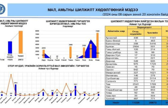 МАЛ, АМЬТНЫ ШИЛЖИЛТ ХӨДӨЛГӨӨНИЙ ХЯНАЛТЫГ САЙЖРУУЛАН АЖИЛЛАХ ҮҮРЭГ, ЧИГЛЭЛ ХҮРГҮҮЛЛЭЭ.