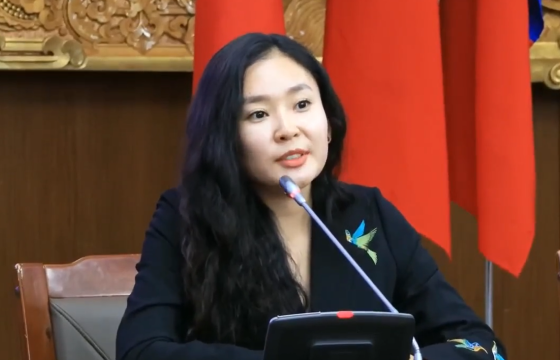 С.Цэнгүүн: Эрчим хүчний үндэсний хороо хэвлэлд найман тэрбумыг зарцуулна гэсэн учраас би Ажлын хэсэгт ажиллах боломжгүй болж байна