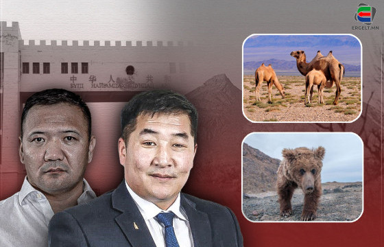 МАЗААЛАЙН НУТГААС УИХ-Д СОНГОГДСОН О.АМГАЛАНБААТАР ГИШҮҮН МАЗААЛАЙГ УСТГАХААР НАРАНСЭВСТЭЙН БООМТЫГ НЭЭЛГЭХЭЭР УЛАЙРЧ БАЙНА